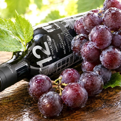 PRIMITIVO MASSERIA